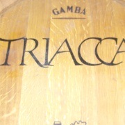 08_ Triacca (10)